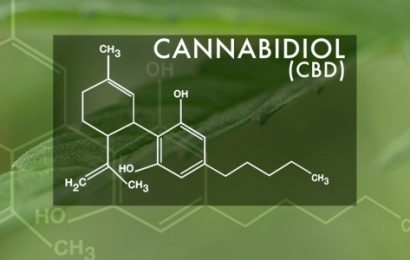 Pressure BioSciences, Inc. Announces Huge Cannabis Development