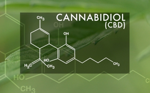 Pressure BioSciences, Inc. Announces Huge Cannabis Development