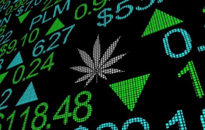 The 10 Hottest Weed Stocks On The Market For May