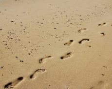 How To Profit When The Smart Money Leaves Its “Footprints”