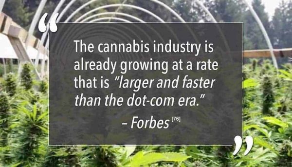 Forbes-quote